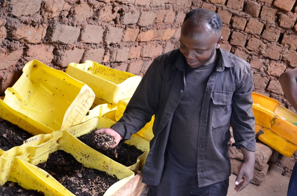 Digital & Innovative (D&I)