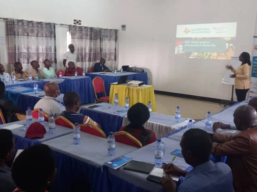 Entrepreneurship Solutions